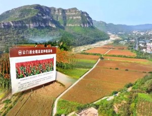 云門酒業(yè)榮獲濰坊市“2025年市級綠色工廠”