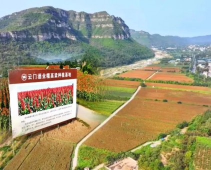 云門酒業(yè)榮獲濰坊市“2025年市級綠色工廠”